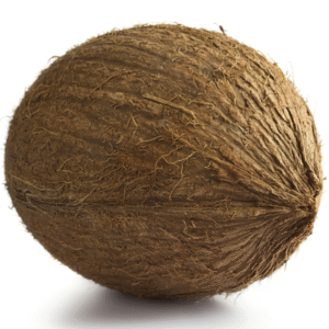 Coconut