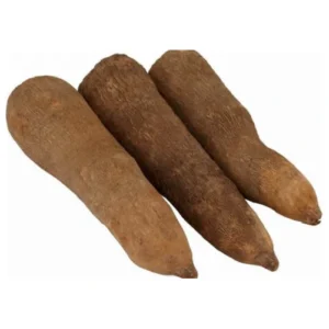 Fresh Yam