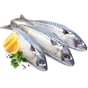 MACKEREL 300/500 20KG (FROZEN)