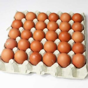 30 Large Eggs