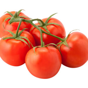 Fresh Tomatoes